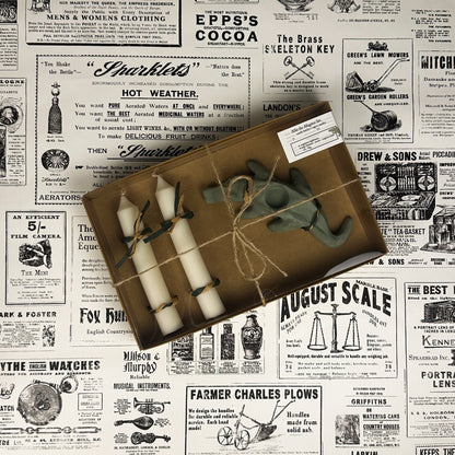 Alfie the Alligator Set | Green